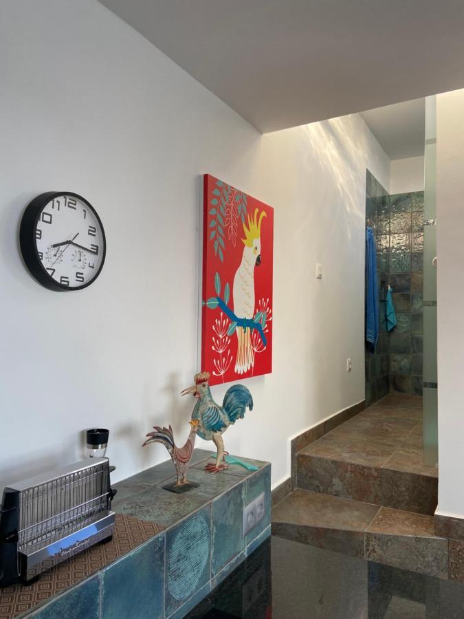 Villa Oasis La Paz - Acaymo Loft - Adults Only - 拉克鲁斯 外观 照片