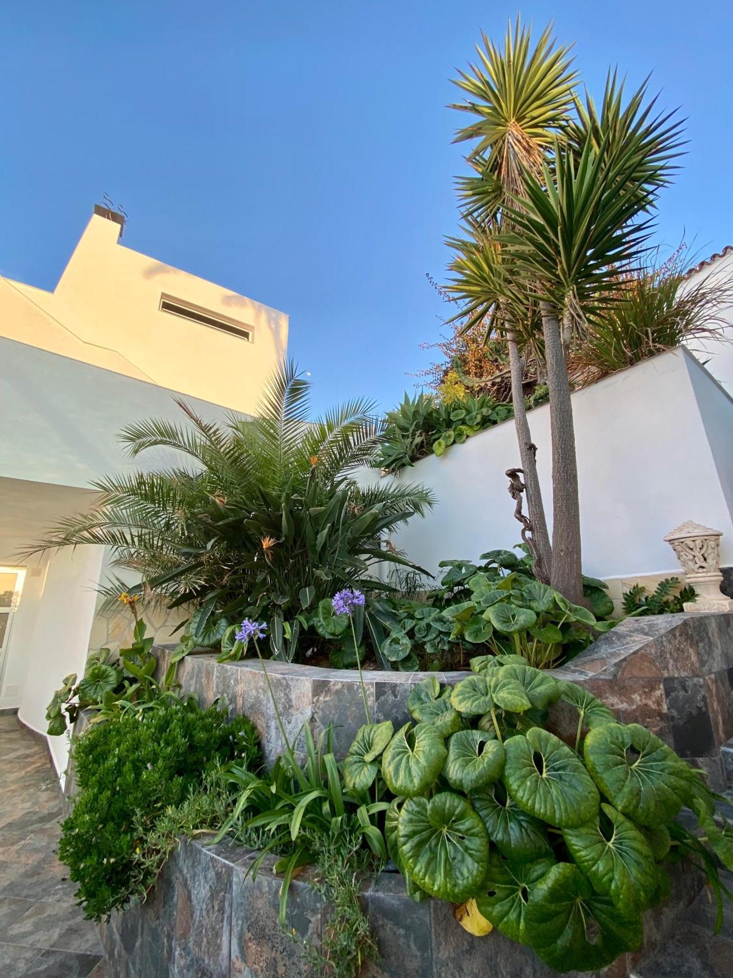 Villa Oasis La Paz - Acaymo Loft - Adults Only - 拉克鲁斯 外观 照片